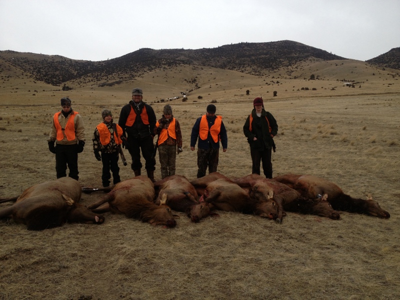 Hunters with several large elk