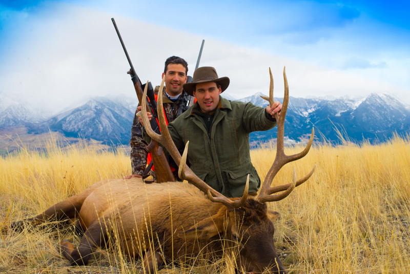 Two hunters with a large elk
